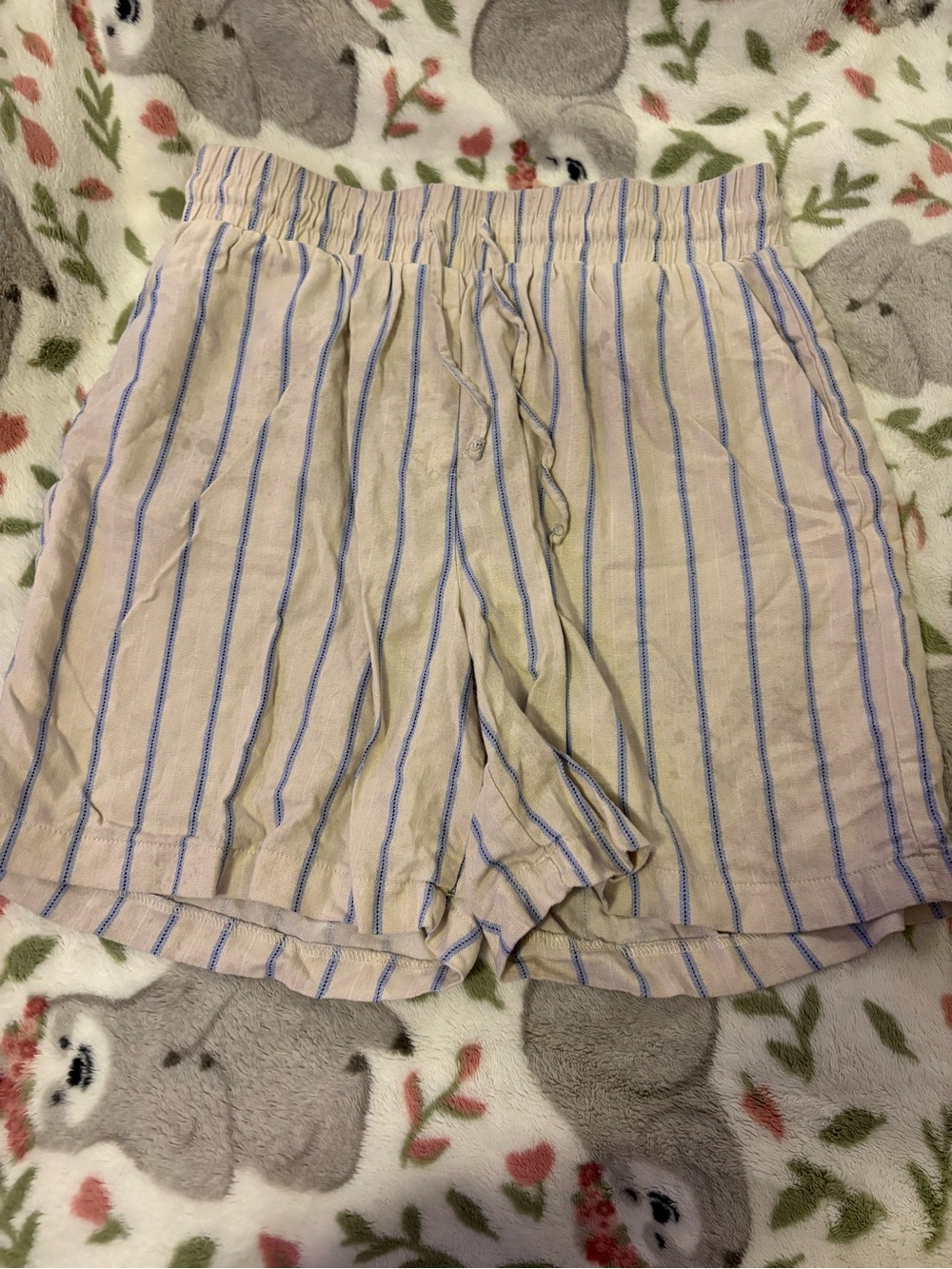 Blue and Beige Striped Women’s Shorts